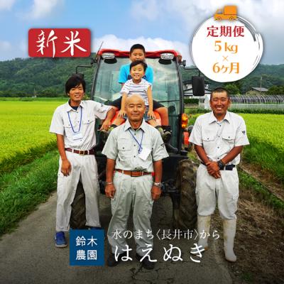 ふるさと納税 長井市 【定期便6ヶ月】【令和8年産新米】鈴木・ファーム「はえぬき」5kg×1袋×6ヶ月_A141
