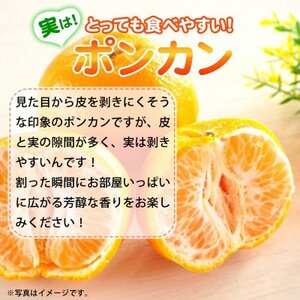 【日高町】紀州和歌山有田産ポンカン　5kg【1217367】