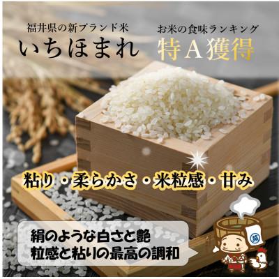 ふるさと納税 あわら市 【令和6年産】いちほまれ 無洗米 5kg×1袋《発送直前に精米!》 |  | 01