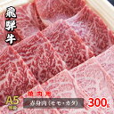 【ふるさと納税】牛肉 飛騨牛 焼き肉 セット 赤身 モモ 又は カタ 300g 黒毛和牛 A5 美味しい お肉 牛 肉 和牛 焼肉 BBQ バーベキュー 【岐阜県瑞穂市】　 瑞穂市