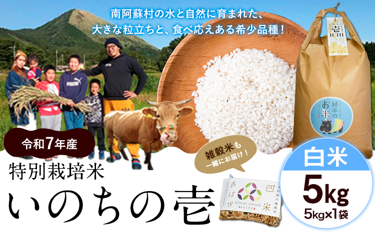 令和7年産 米 いのちの壱(白米)5kg 雑穀米 付き《60日以内に出荷予定(土日祝除く)》熊本県 南阿蘇村 南阿蘇 虹色のかば---sms_inci6_60d_r7_17500_h5kg---