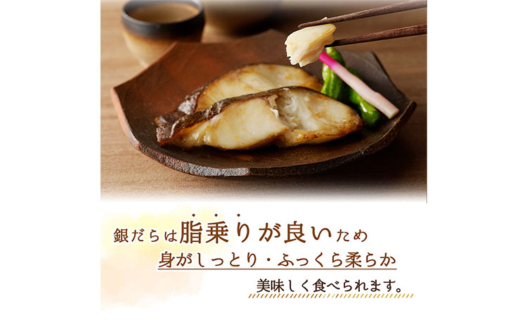 和歌山魚鶴仕込のだし漬け天然銀だら切身 銀鱈 切身 約 720g 株式会社魚鶴商店《30日以内に出荷予定(土日祝除く)》 和歌山県 日高町 銀鱈 切り身(f)