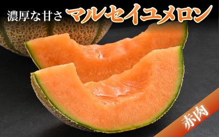 【先行予約】小玉スイカ・マルセイユメロン セット 計2玉入（約3kg～4kg）  秀品 ／ 果物 フルーツ 産地直送 ※2024年6月発送