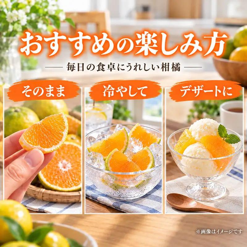 スイートスプリング 約10kg 果物類 みかん 柑橘類 フルーツ 
