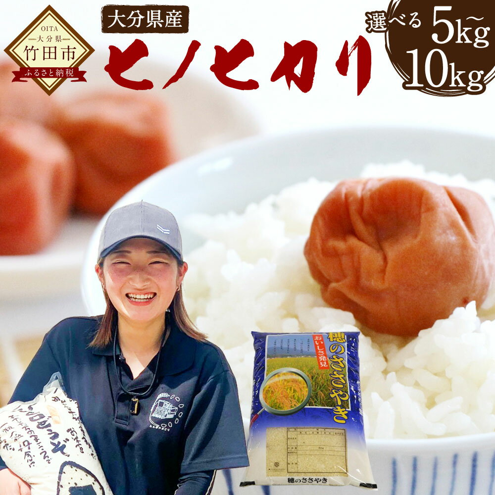 【ふるさと納税】〈選べる容量〉令和7年産 ヒノヒカリ 5kg／10kg 大分県産 ひのひかり 精米 米 国産 九州産 送料無料【2025年11月下旬発送開始予定】