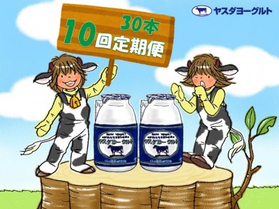 【10か月定期便】ヤスダヨーグルト 150g×30本×10回 小ボトル こだわり生乳 新鮮 濃厚 1B15131