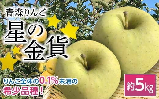 
            青森りんご 星の金貨 約５ｋｇ 【マルス果樹園】 りんご リンゴ 林檎 アップル 果物 くだもの フルーツ あおもり 青森 青森県 南部町 三戸 南部 F21U-079
          