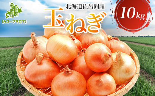 玉ねぎ 10kg 北海道 佐呂間産 （2026年10月出荷開始先行予約） 【 ふるさと納税 人気 おすすめ ランキング 野菜 玉ねぎ タマネギ たまねぎ おいしい 美味しい 新鮮 北海道 佐呂間町 送料無料 】 SRMM019