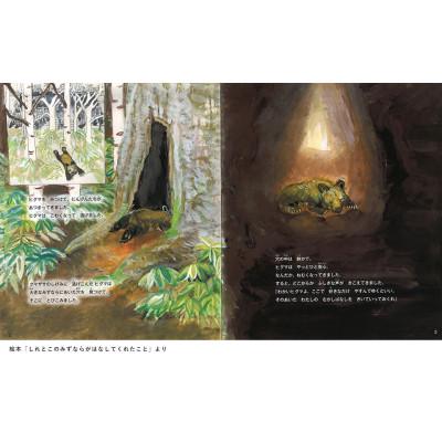 ふるさと納税 斜里町 知床財団オリジナル絵本セット |  | 02