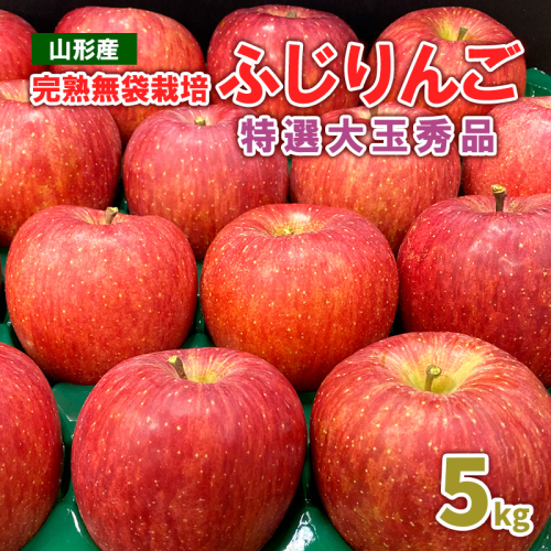 完熟無袋栽培ふじりんご 特選大玉秀品5kg入り FY25-900