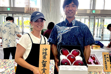 【2024年発送】【令和5年度最優秀賞受賞】縁sファームのアップルマンゴー2kg（特秀）