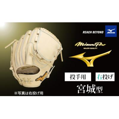 ふるさと納税 宍粟市 ミズノプロ 硬式用 野球グラブ 投手用 宮城 型( 右投げ )AO70