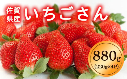 【先行予約】◆2025年1月中旬より順次発送予定◆ いちごさん 880g (220g×4p)