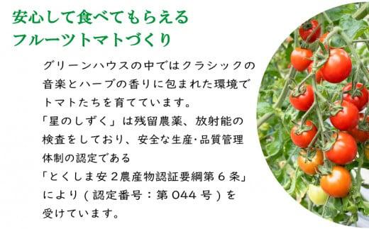 フルーツトマト トマト 定期便 3回 1.7kg 野菜 やさい トマト 薄皮 星のしずく 完熟 高糖度 糖度 8度 果物 スイーツ ジュース パスタ スパゲティー ソース サラダ ドレッシング 鍋 サ
