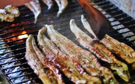 国産天然焼穴子（約200ｇ）【配送不可：北海道・沖縄・離島】