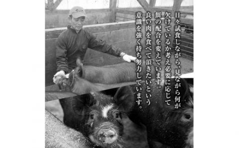 B-119 鹿児島黒豚３kgうす切り肉(200g×15パック)【米平種豚場ふくふく黒豚の里】