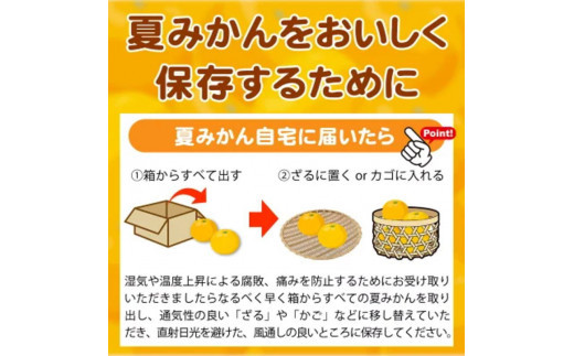 【先行予約】夏みかん 7.2kg　※2026年4月中旬頃〜2026年4月下旬頃順次発送（お届け日指定不可） / くだもの 果物 フルーツ 柑橘 有田みかん みかん オレンジ 和歌山【uot775】