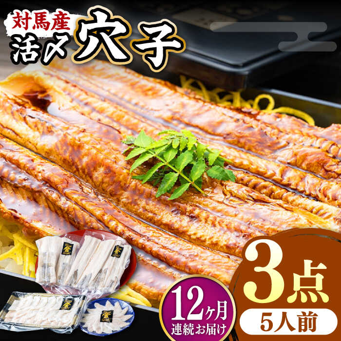 【ふるさと納税】【全12回定期便】対馬産 活〆 穴子 3点 セット D【THE・対馬株式会社】《対馬市》新鮮 あなご 刺身 天ぷら 海鮮 肉厚 簡単調理 5人前[WAS017]