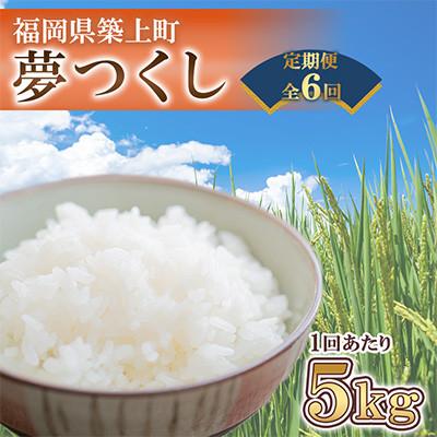 ふるさと納税 築上町 【毎月定期便】夢つくし　5kg　福岡県築上町産全6回