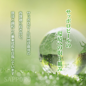 エビスビール　500ml×2ケース(48缶)