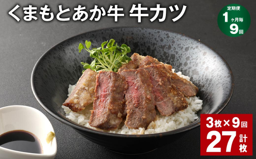 【1ヶ月毎9回定期便】 大人気！くまもとあか牛 牛カツ 計27枚（3枚✕9回） 牛肉 和牛 あか牛