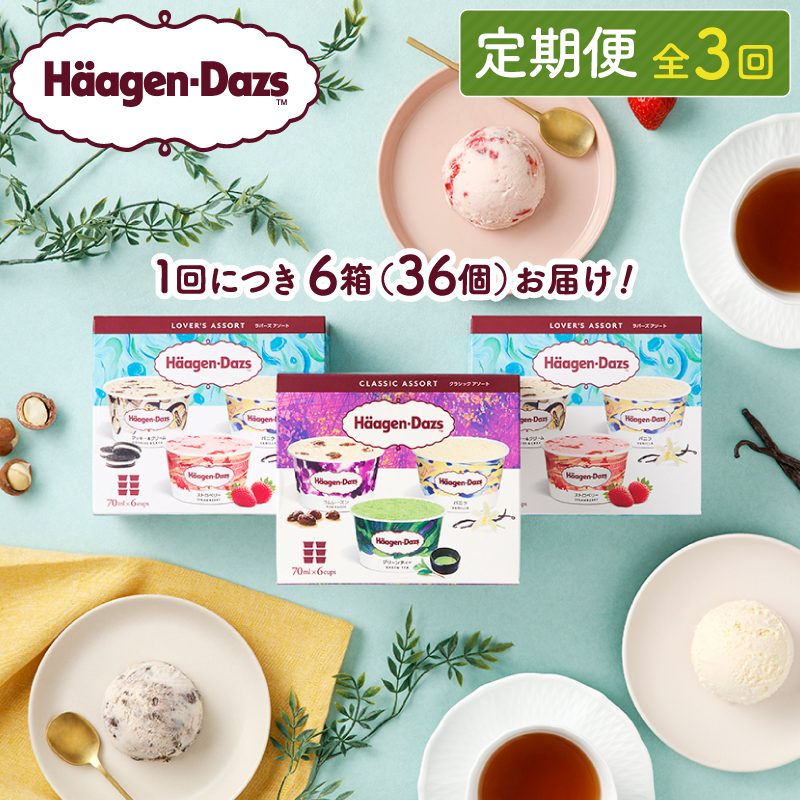 ＜全3回・連続＞お試し定期便！アソートボックス セット アイス スイーツ デザート_H0016-152