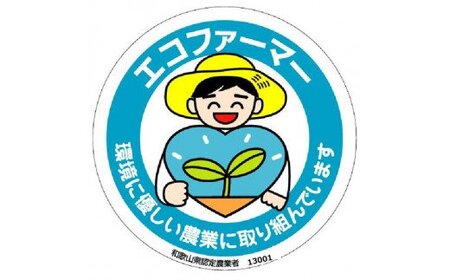 採れたてタネなし柿“Lサイズ”7.5kg＜2024年10月中旬～10月下旬頃発送予定＞
