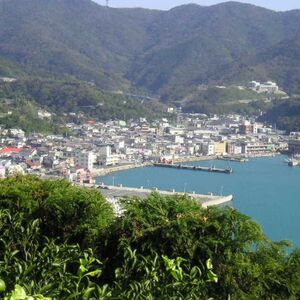【先行予約】【数量限定】はるみ（生果5kg）※離島への配送不可（2026年1月下旬より順次発送予定） IKTBD009