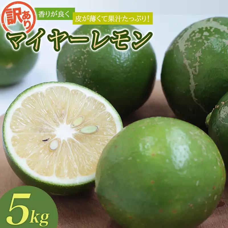 レモン 訳あり マイヤーレモン はぎファーム 5kg【hgf004】
