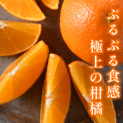 【宗方印】【数量限定】宗方のまどんな 約1.5kg(家庭用) 【K003600K1.5】【1676979】