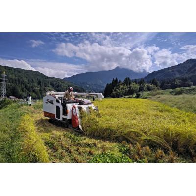 ふるさと納税 糸魚川市 新潟県産 糸魚川産  令和7年産 いのちの壱 100% 精米 3kg×2 新米 |  | 01