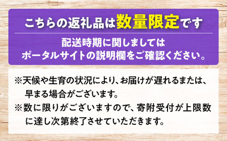 【先行予約】【7月中旬から8月上旬に順次発送】みらさかピオーネ（ハウス栽培）1kg 2房入 種無し ぶどう フルーツ ギフト ピオーネ 果物 三次市/みらさかピオーネ直売所[APBE001]