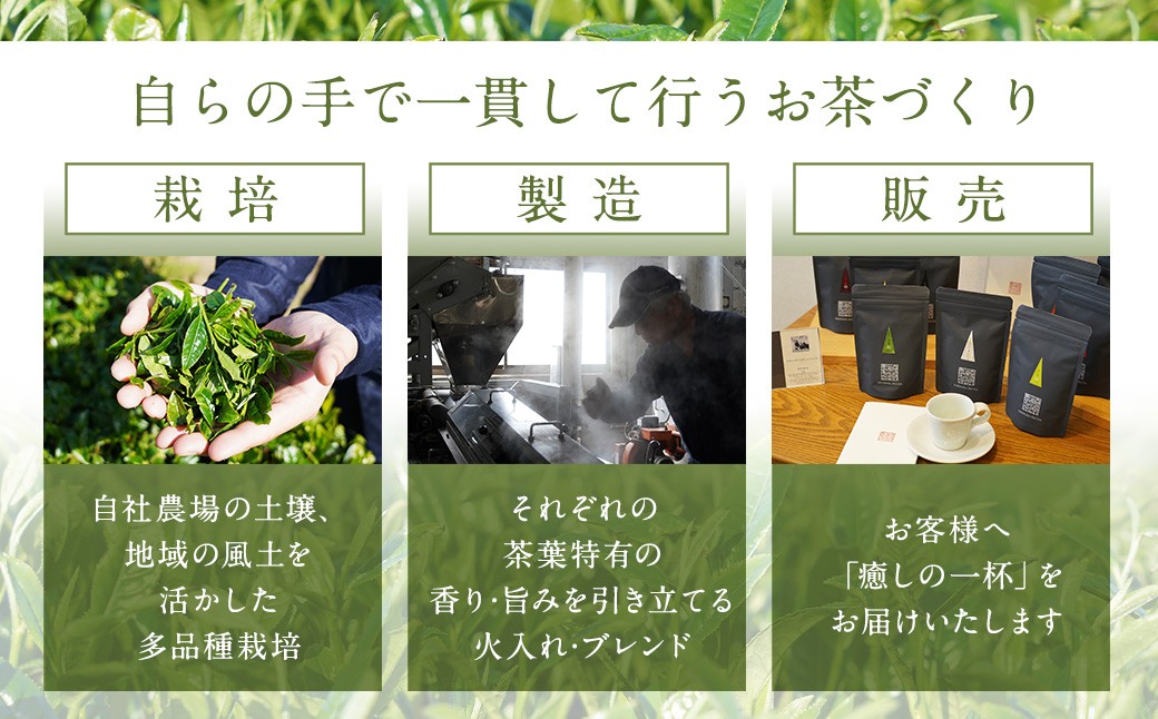 崎原製茶のｵﾘｼﾞﾅﾙｾｯﾄ#2 (煎茶など6種ｾｯﾄ)