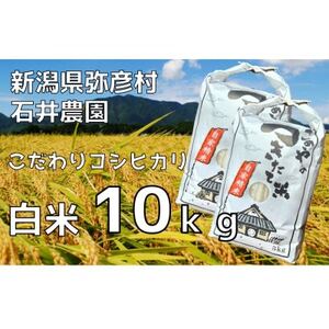 【新米】新潟県弥彦村石井農園　令和6年産コシヒカリ【白米 10kg】【1508847】
