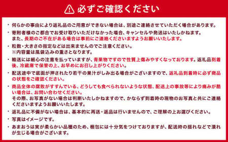 【ギフト用／特別栽培】 福岡県産 あまおう EX 約450g×2パック 【2026年1月上旬～3月下旬発送予定】 いちご イチゴ 苺 フルーツ 果物 くだもの ギフト 贈答用 贈り物 福岡県 遠賀町
