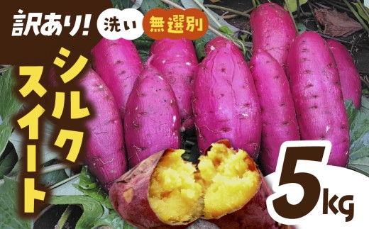 さつまいも シルクスイート【訳あり】洗い 無選別 5kg  |  訳あり 採れたて 新物 シルクスイート しるくすいーと・SS～L さつまいも 茨城県 サツマイモ 生芋 ほくほく 土付き 焼き芋