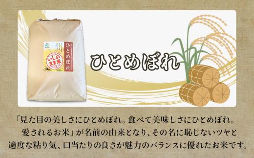 【定期便5回・毎月発送】宮城県いしのまき産米 10kg×5回 ひとめぼれ（精米）