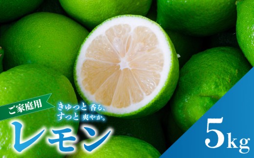 グリーンレモン 家庭用 5.0kg 【2026年9月下旬頃から順次発送】 防腐剤 ワックス 不使用｜ 訳あり レモン 檸檬 完熟 柑橘 酸味 国産 愛媛県産 訳あり 新鮮 愛媛 松山