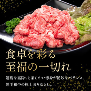 牛肉 切り落とし 550g 阿波牛