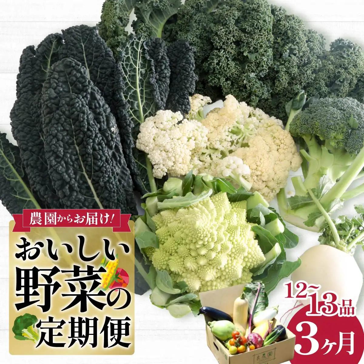 野菜ソムリエが送る 旬野菜セット 12～13品 3回 定期便 西洋野菜 一般野菜 | やさい