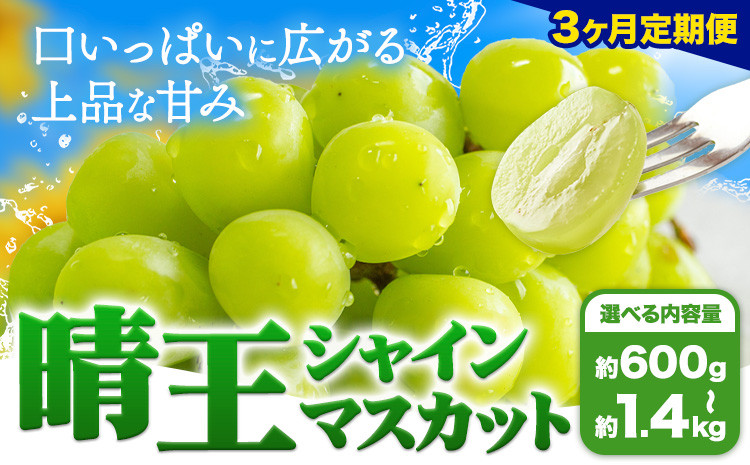 
            【3ヶ月定期便】ぶどう シャインマスカット 晴王 600g 700g 1.2kg 1.4kg 1房 2房 ハレノフルーツ(アストライ)《7月上旬-9月末頃出荷》岡山県 浅口市 送料無料 フルーツ 果物 マスカット お取り寄せフルーツ【配送不可地域あり】
          