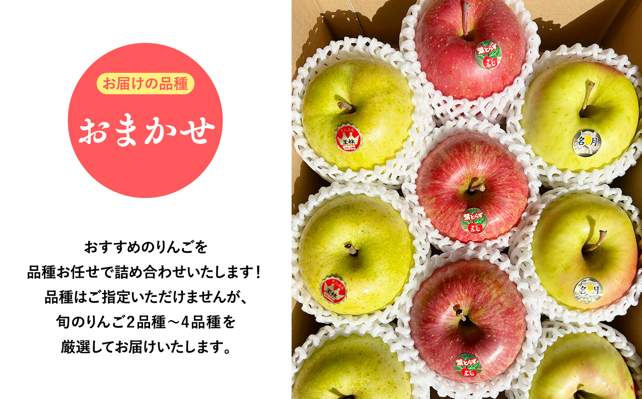 2025年産品種お任せ　贈答用　旬のりんご詰め合わせ3ｋｇ