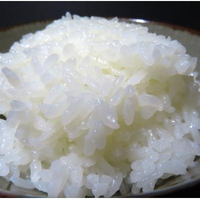 ふるさと納税 佐渡市 佐渡高千産コシヒカリ 5kg×2袋 計10kg(精米) |  | 02