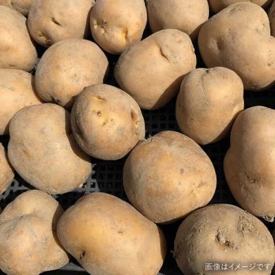 ふるさと納税 糸島市 【全3回定期便】☆畑直送☆限定!栽培期間中農薬不使用!お米2kg&野菜7品セット[AGE036] |  | 03