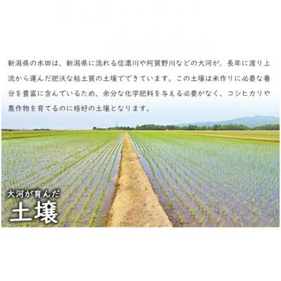 ふるさと納税 新潟市 有機栽培米 新潟産コシヒカリ5kg [54071457] |  | 02