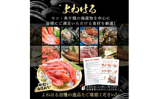 【お中元】天然！越前甘エビ(卵なし) 中サイズ 500g × 1(約35尾入り) 【通常発送】 解凍方法説明書付き 船内凍結 酸化防止剤不使用！甘エビ本来の味をお楽しみください えび エビ 海老 甘エビ 甘えび 人気 海鮮 お刺身 魚介 おせち 無添加 冷凍 福井県産[m17-a082_00]