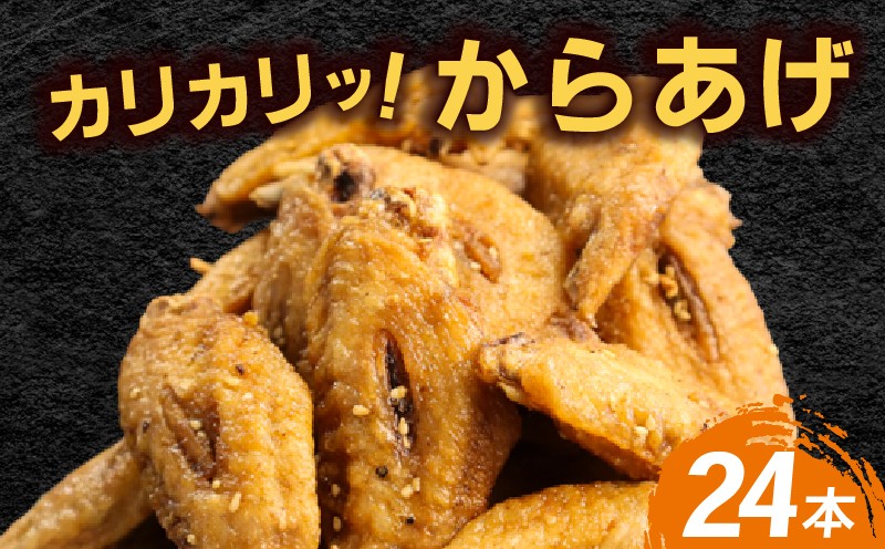 
                  レンジでチン！ カリカリ から揚げ 24本 手羽先
                