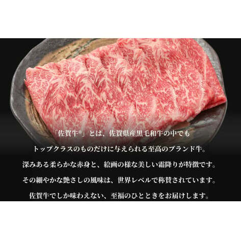 牛肉＆鶏肉 佐賀の地元産お肉を2種楽しめる 佐賀牛小間切れ ありたどり塩ネギ セット 各300g 計600g  肉 佐賀牛 牛肉 おすすめ 1万円 N10-66_イメージ5