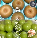 【ふるさと納税】梨 5kg と シャインマスカット2房【令和6年8月より発送開始】（茨城県共通返礼品：石岡市産） 詰め合わせ 果物 フルーツ 茨城県産