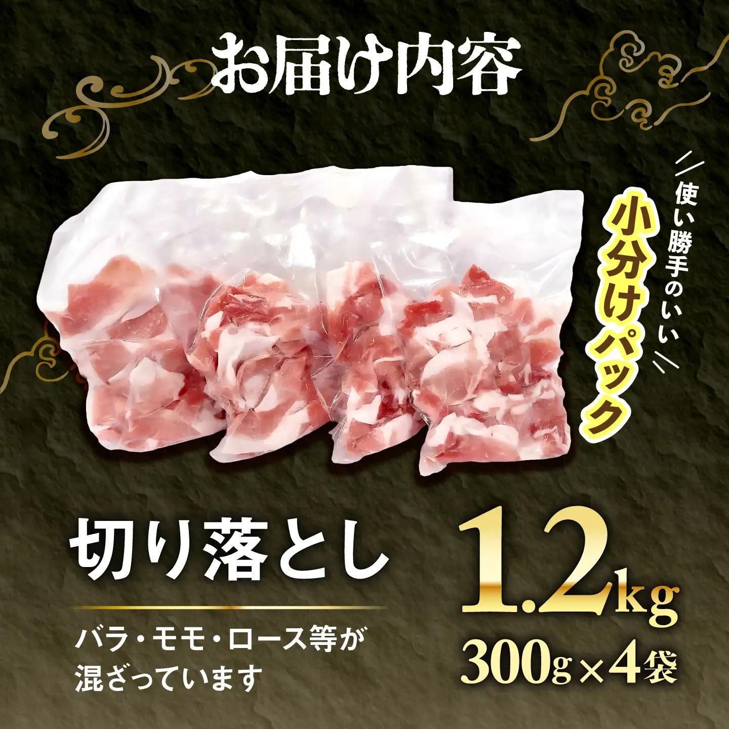 豚肉 アグー豚 切り落とし 1.2kg 小分け BCEO001